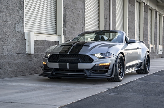 gaudin ford shelby