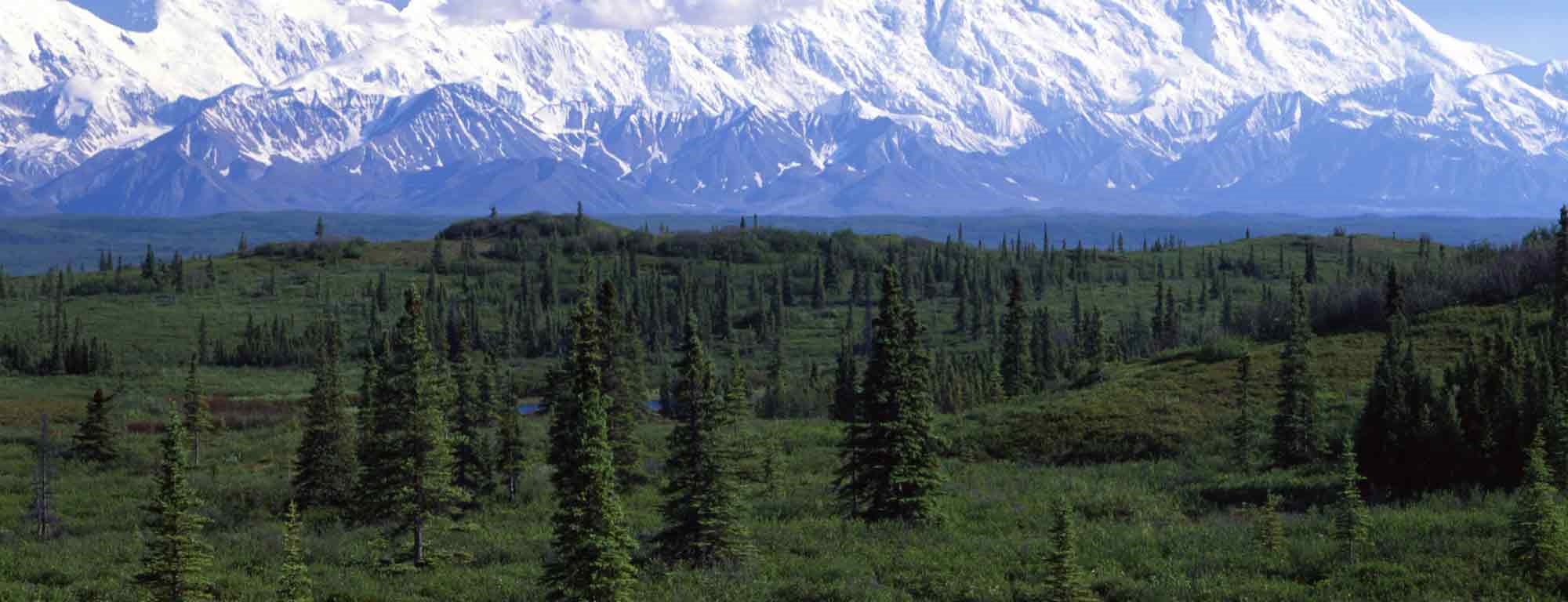 Lynnwood Honda Edmonds WA