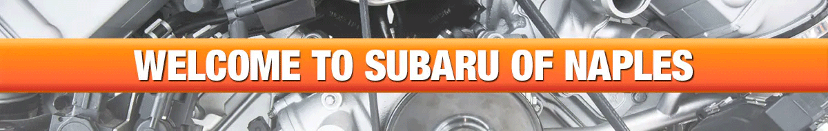 Subaru of Naples Naples FL