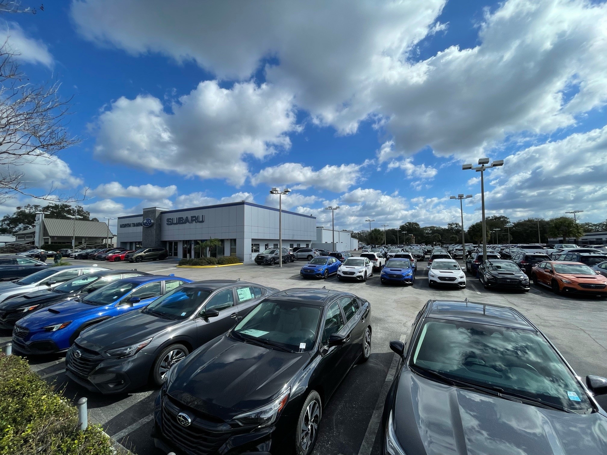 New Used Subaru dealership in Tampa Subaru of North Tampa