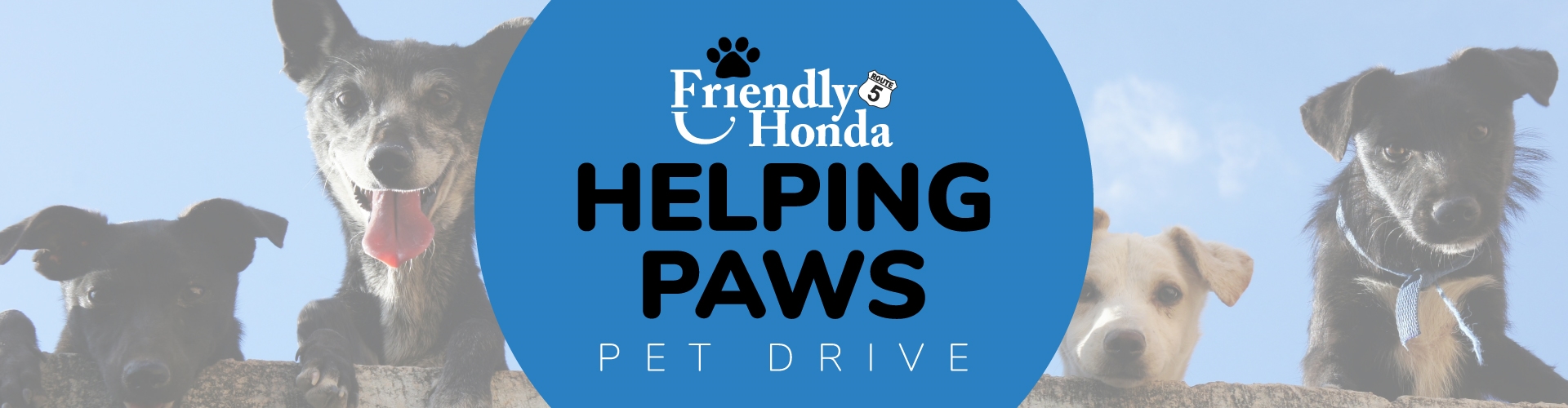  Friendly Honda Helping Paws