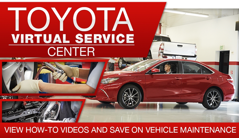 Toyota of Tampa Bay Tampa FL