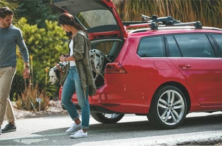 volkswagen drive easy protection