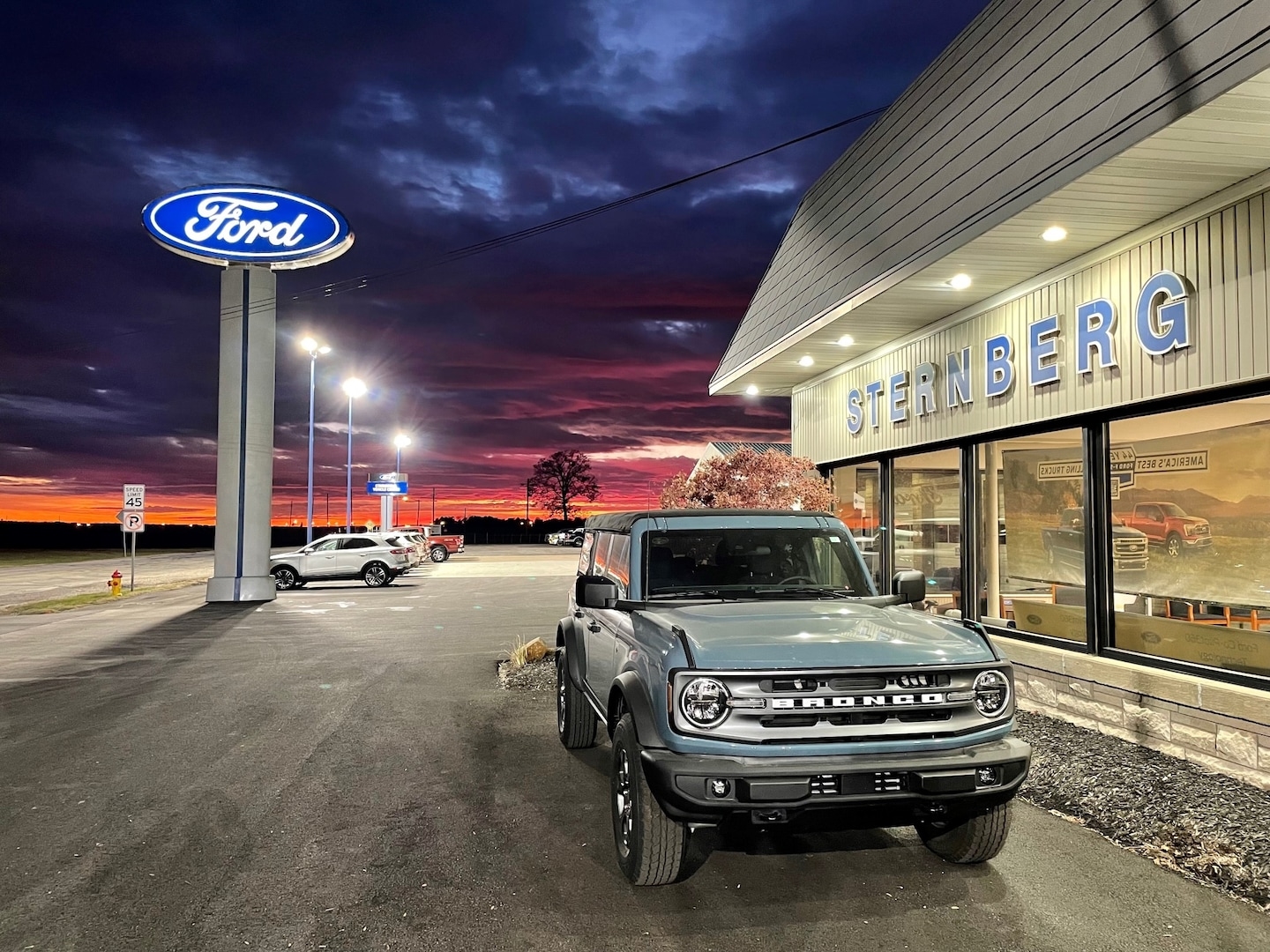 Sternberg Ford