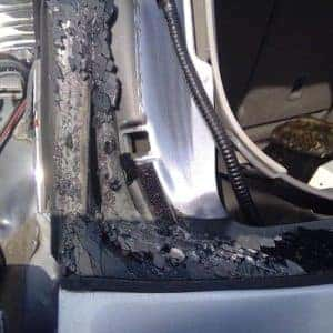 Curtiss Ryan Honda Shelton CT