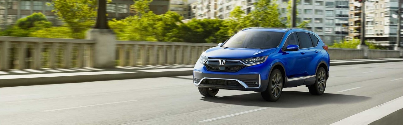 Blue Honda Model