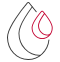 Fluid levels