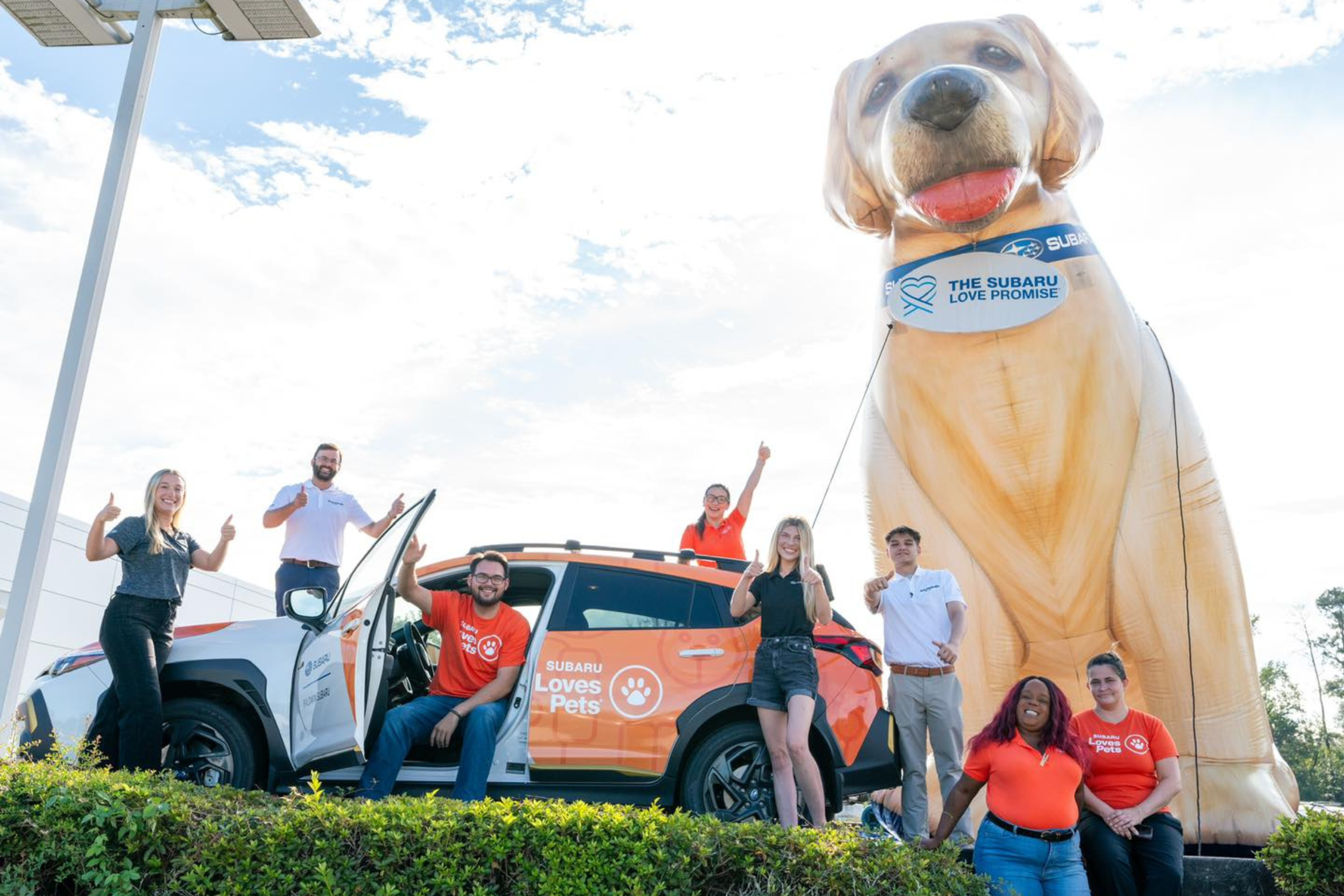 Happy adopted dogs at Baldwin Subaru event