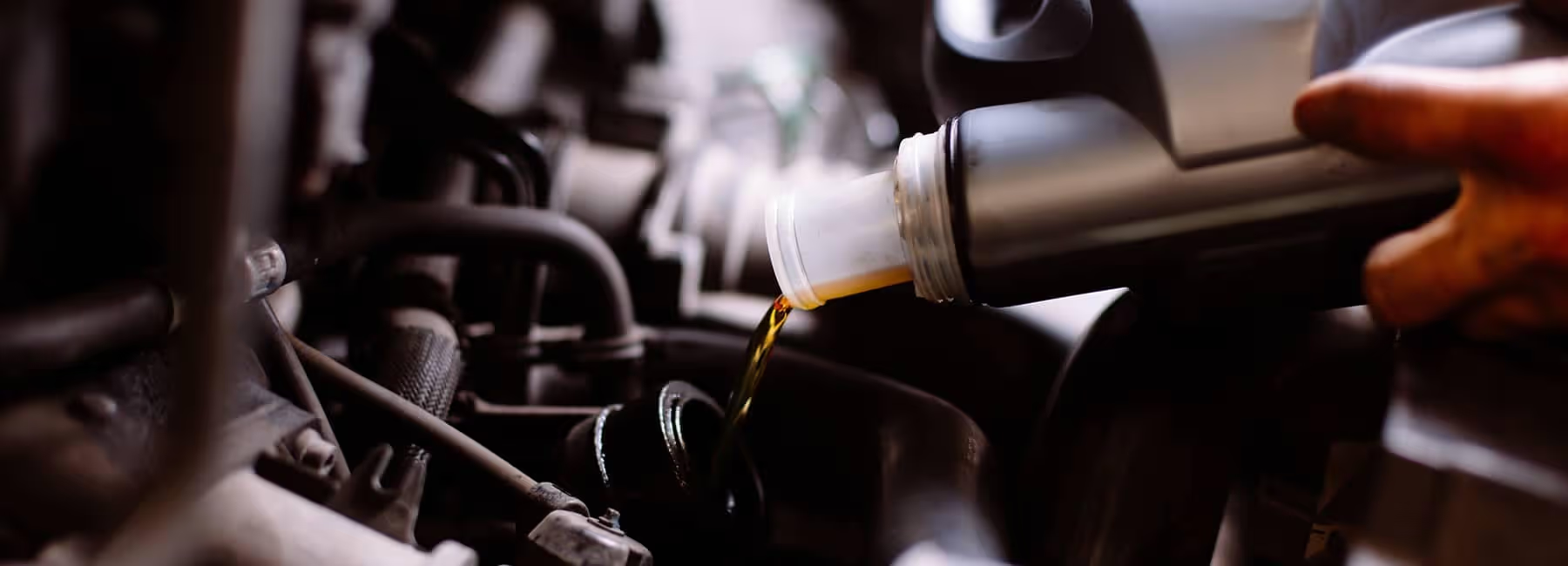 Dahl Express Winona Winona MN