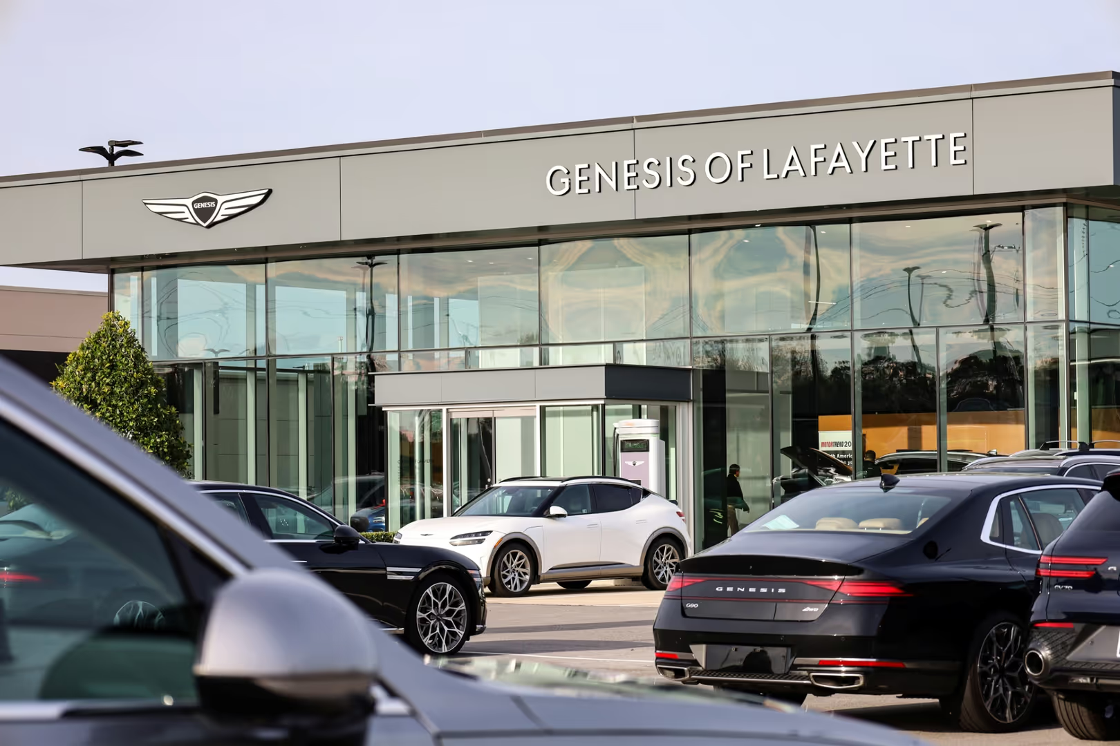 Genesis of Lafayette Lafayette LA