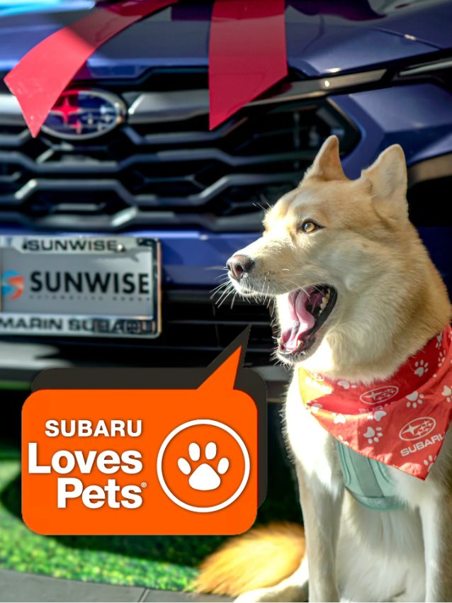 Marin Subaru San Rafael CA