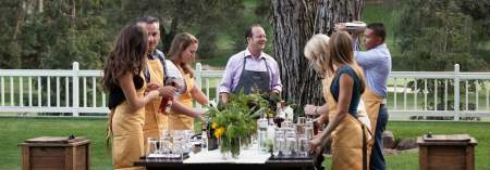 Napa Valley Wine Experience