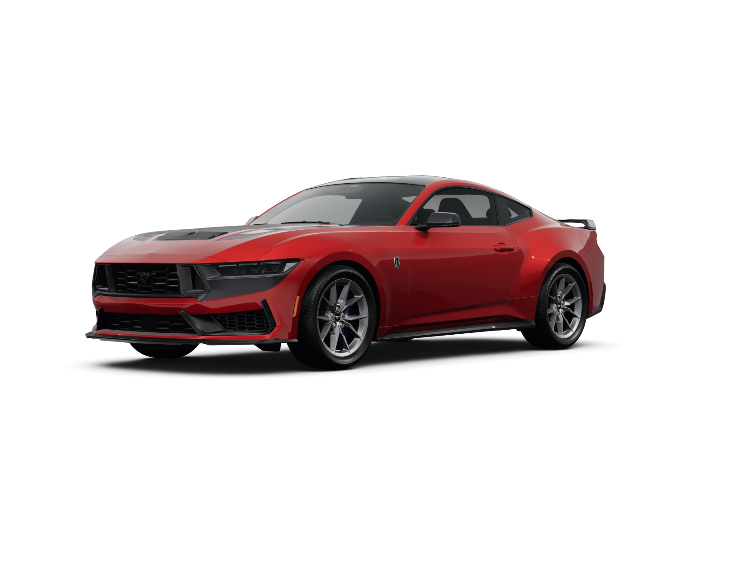 洋書 MUSTANG The Racing Thoroughbred 51GIh1yM6IL._AC_SY200_QL15_.jpg