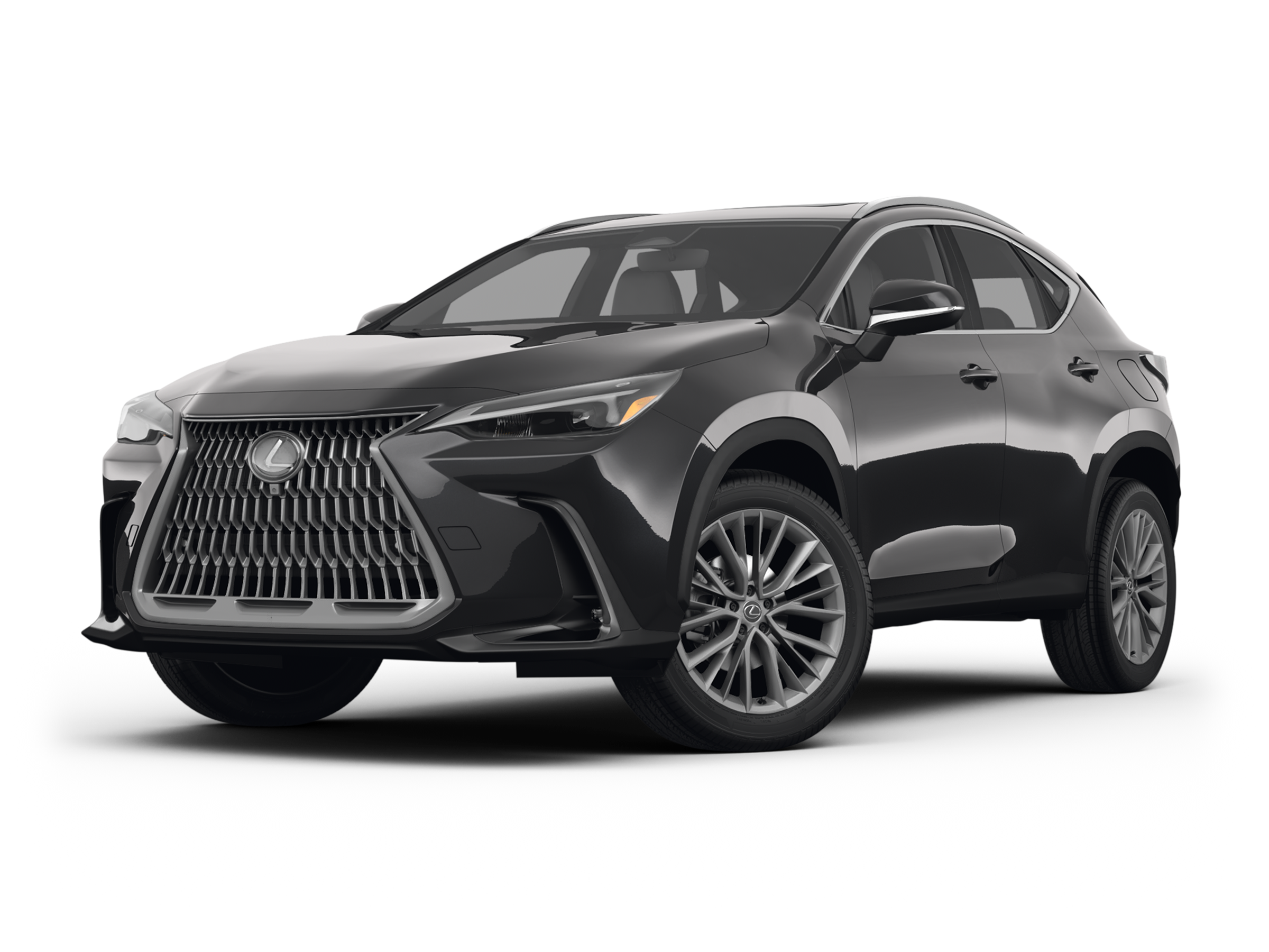 2026 Lexus NX 350's photo