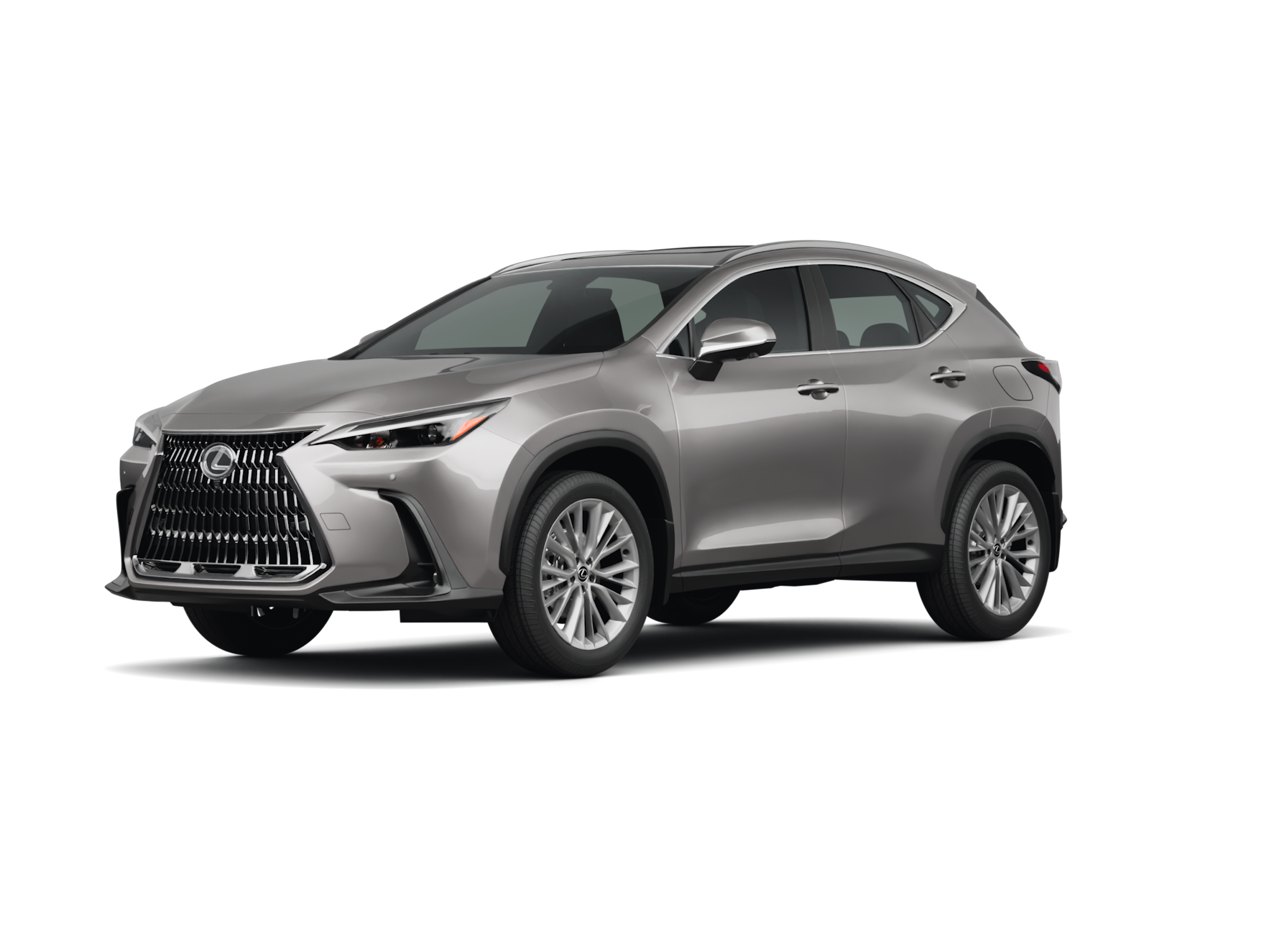 2026 Lexus NX 350's photo