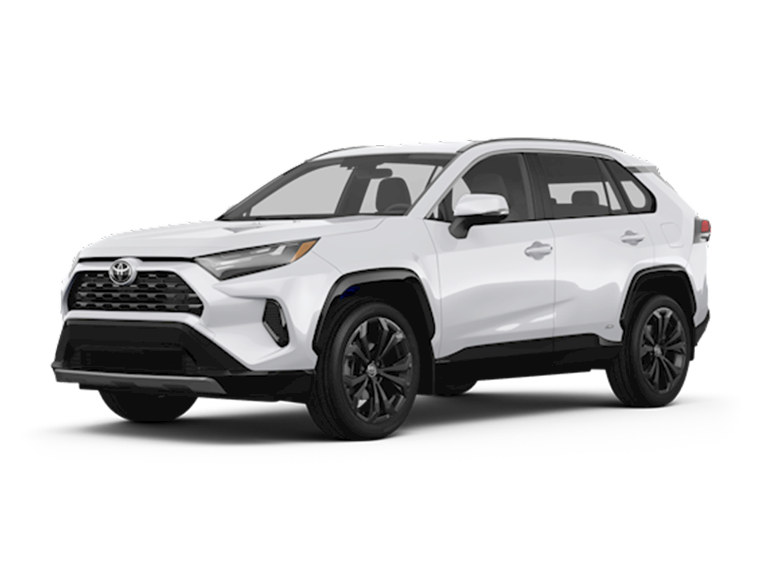 2025 Toyota RAV4 XLE Premium's photo