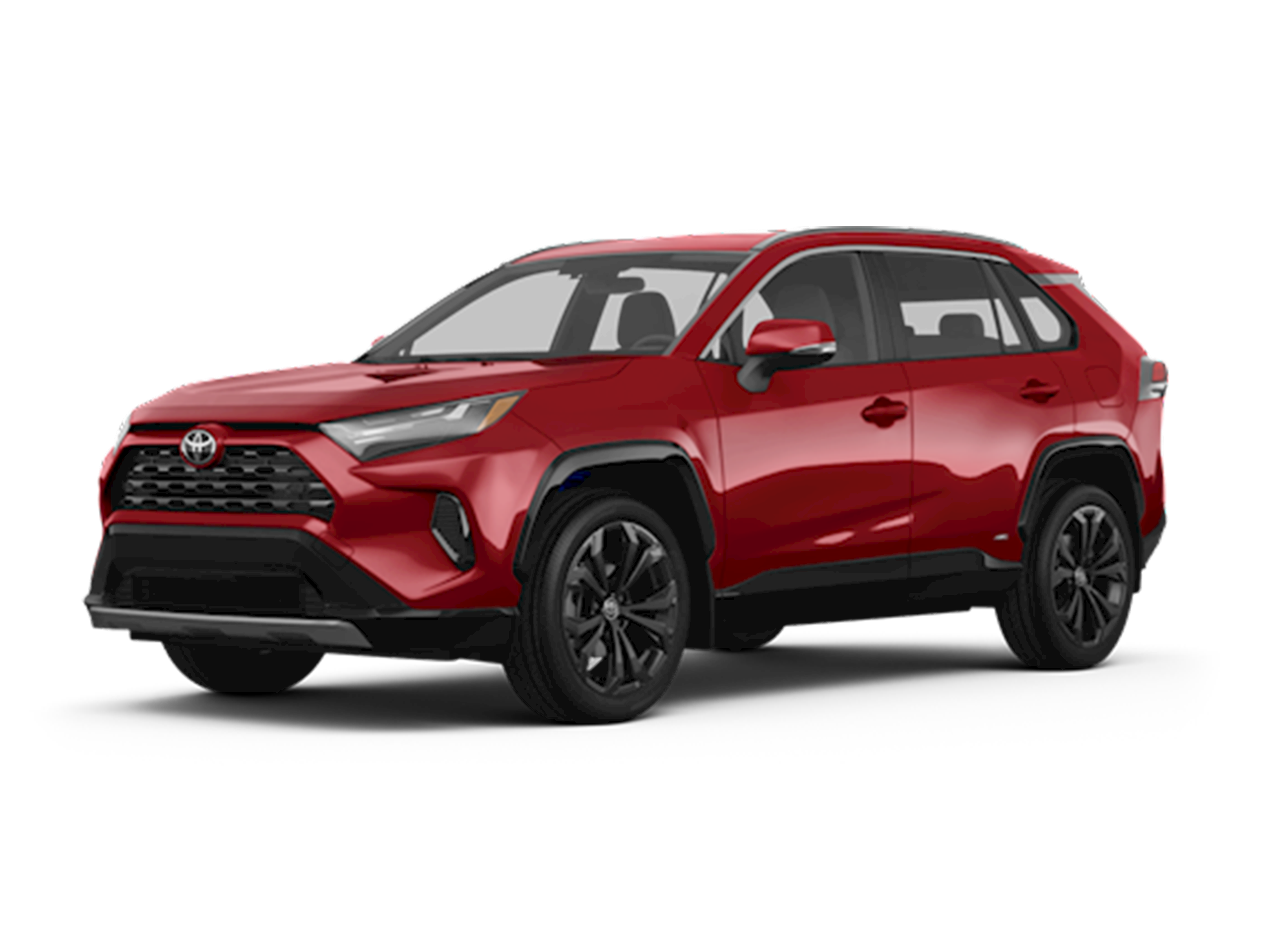 2025 Toyota RAV4 XLE's photo