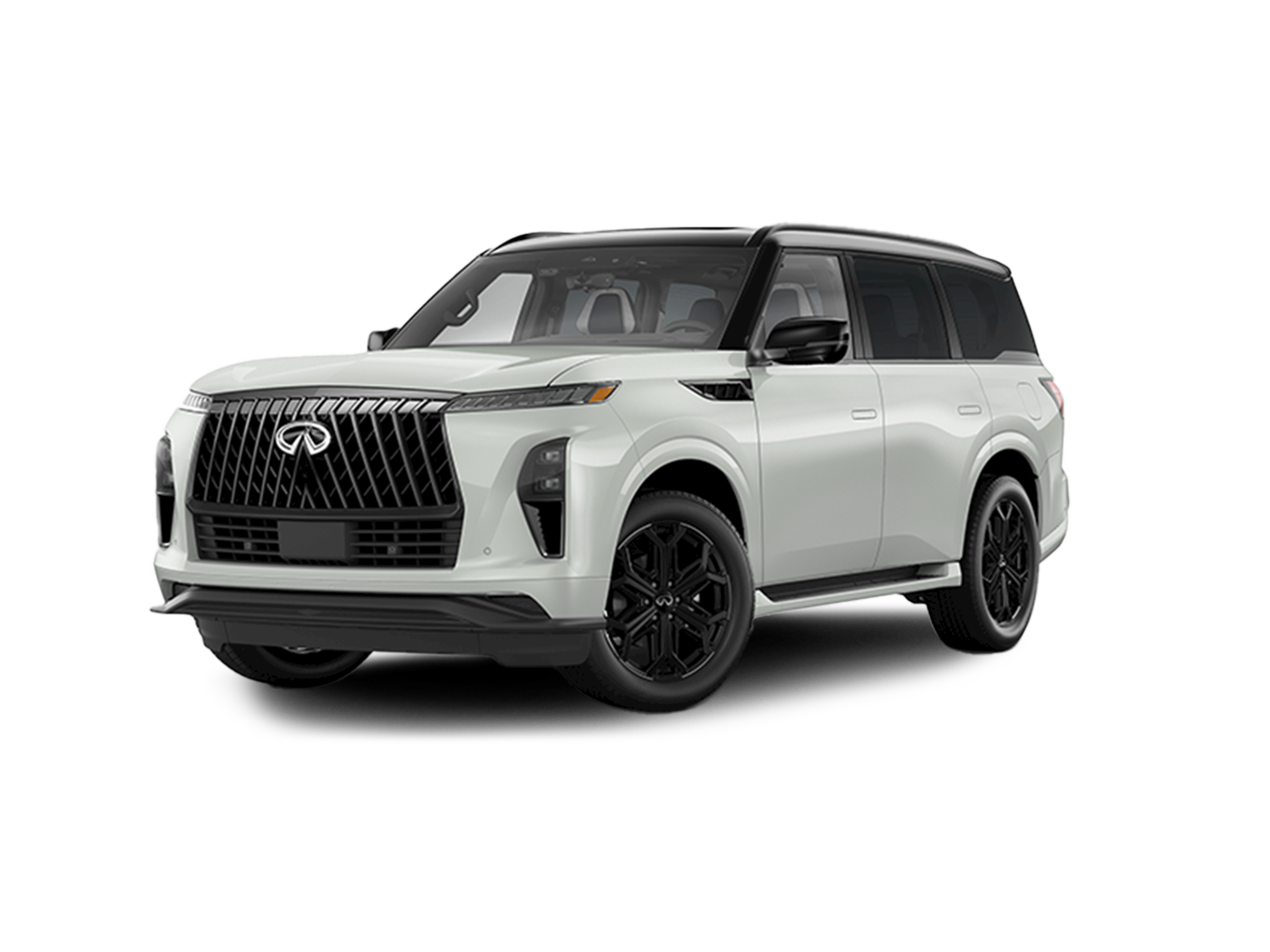 2026 INFINITI QX80 Sport's photo
