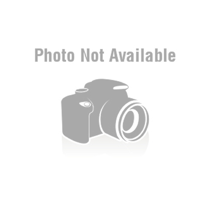 CAN-AM Outlander 1000 Max XT-P - Motocasion.com