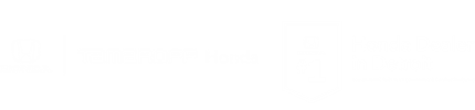 Tamaroff Honda