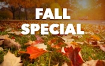 Fall Service Package