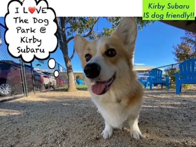 Kirby Subaru Dog Park