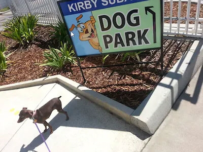 Kirby Subaru Dog Park