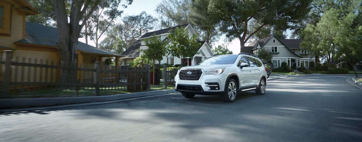 A white 2019 Subaru Ascent Limited is shown driving on a suburban street.