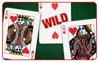 Wild Card 