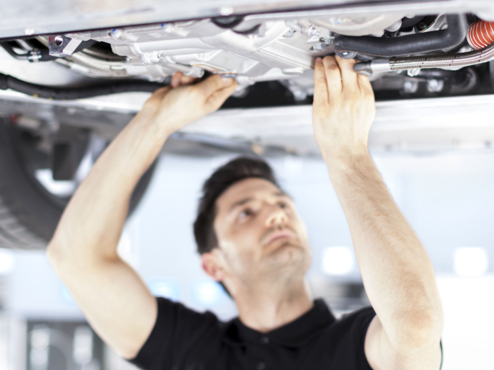 Lincoln Priority Service PLUS*