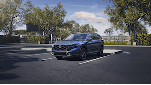 Su texto alternativo aquí