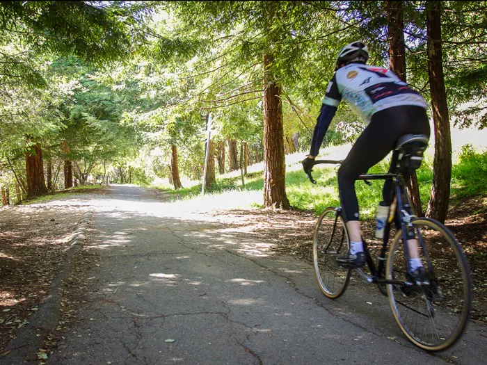 Downtown Subaru of Oakland Oakland CA
