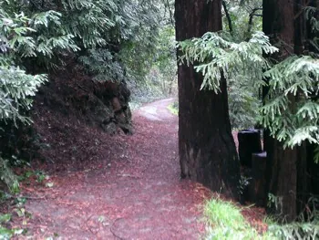 Downtown Subaru of Oakland Oakland CA