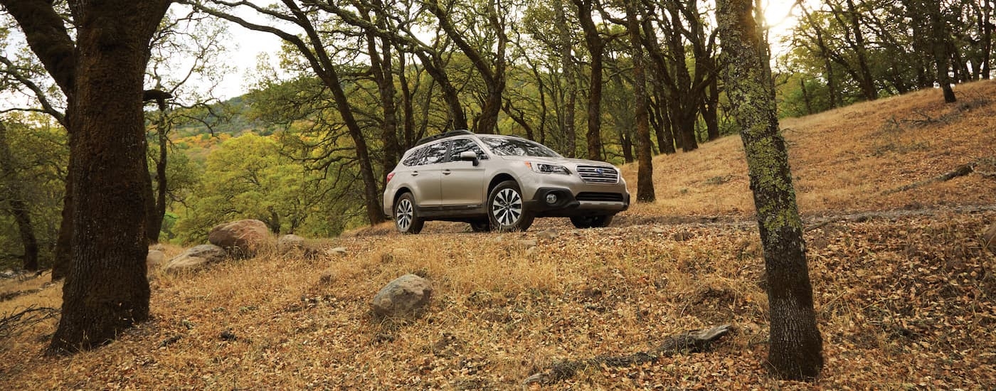 A tan 2016 Subaru Outback is shown on a trail in the woods after leaving a used Subaru dealership.