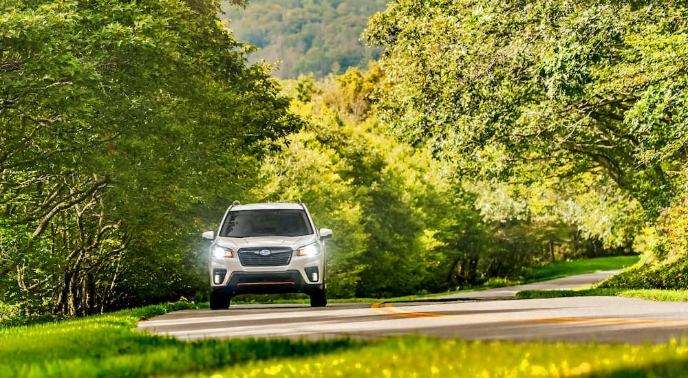 A white 2019 Subaru Forester Sport is shown from the front driving on a tree-line road.