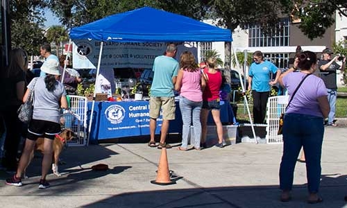 Subaru of Melbourne service department Melbourne FL