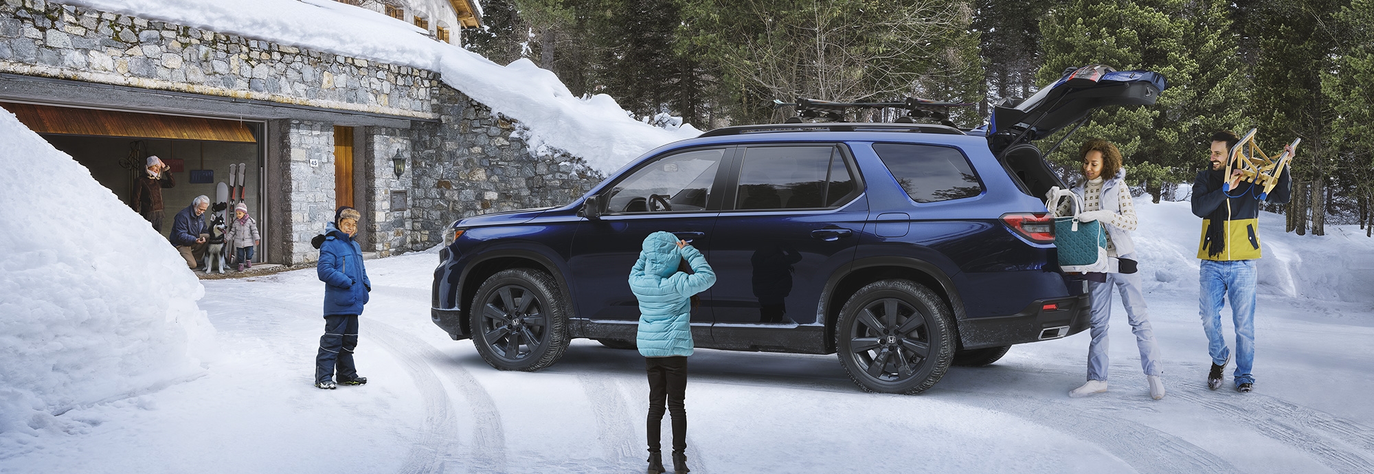 2023 Honda Pilot in Fort Collin, CO