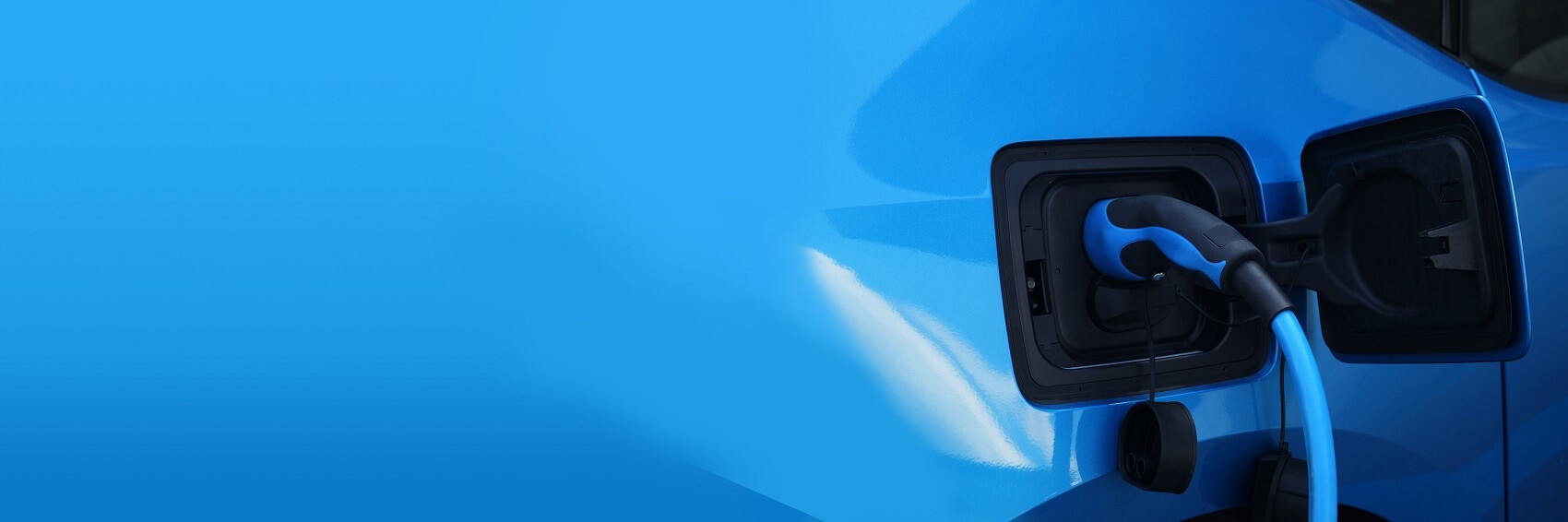 Electric Vehicle Dealer Tampa FL