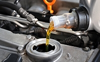 Oil & Filter Change