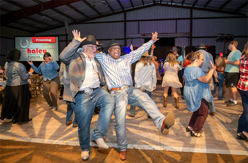 Haley Automotive Group Richmond VA