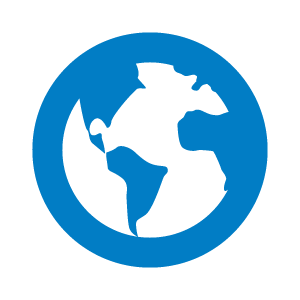 Blue Globe Icon