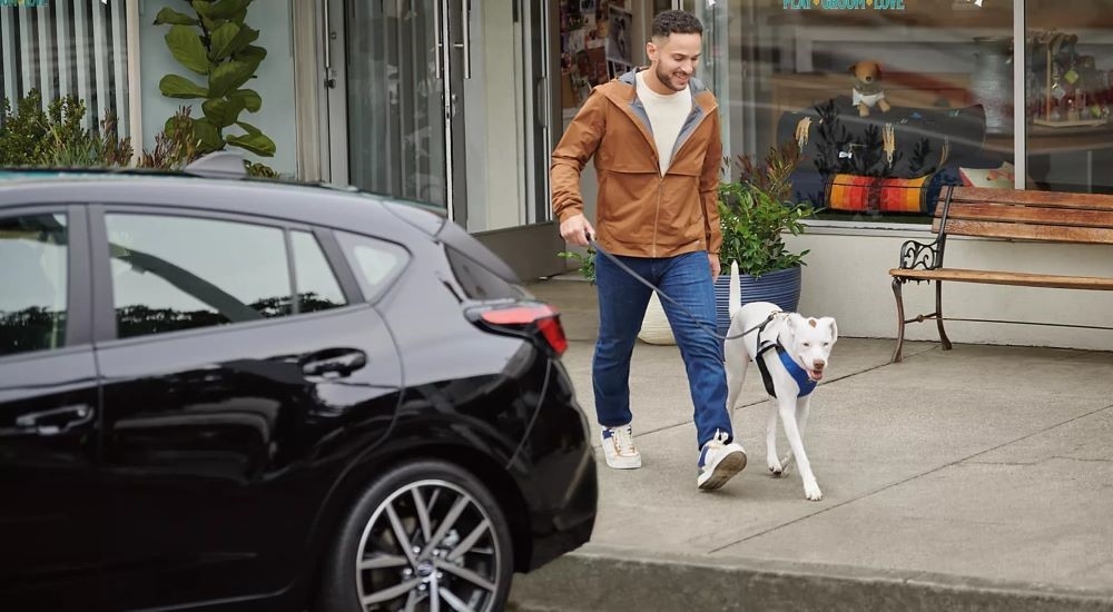 A person is shown walking a dog near a black 2024 Subaru Impreza.