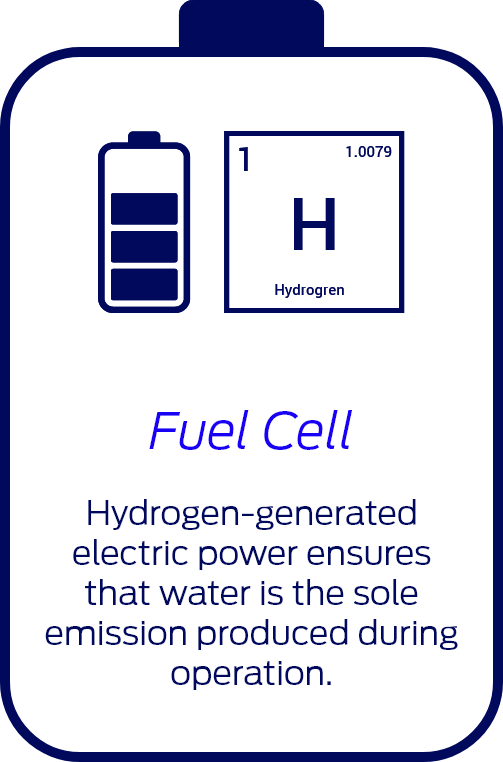 Fuel Cell