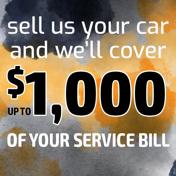 Lia Toyota in Colonie NY | Car Dealership near Latham, & Saratoga