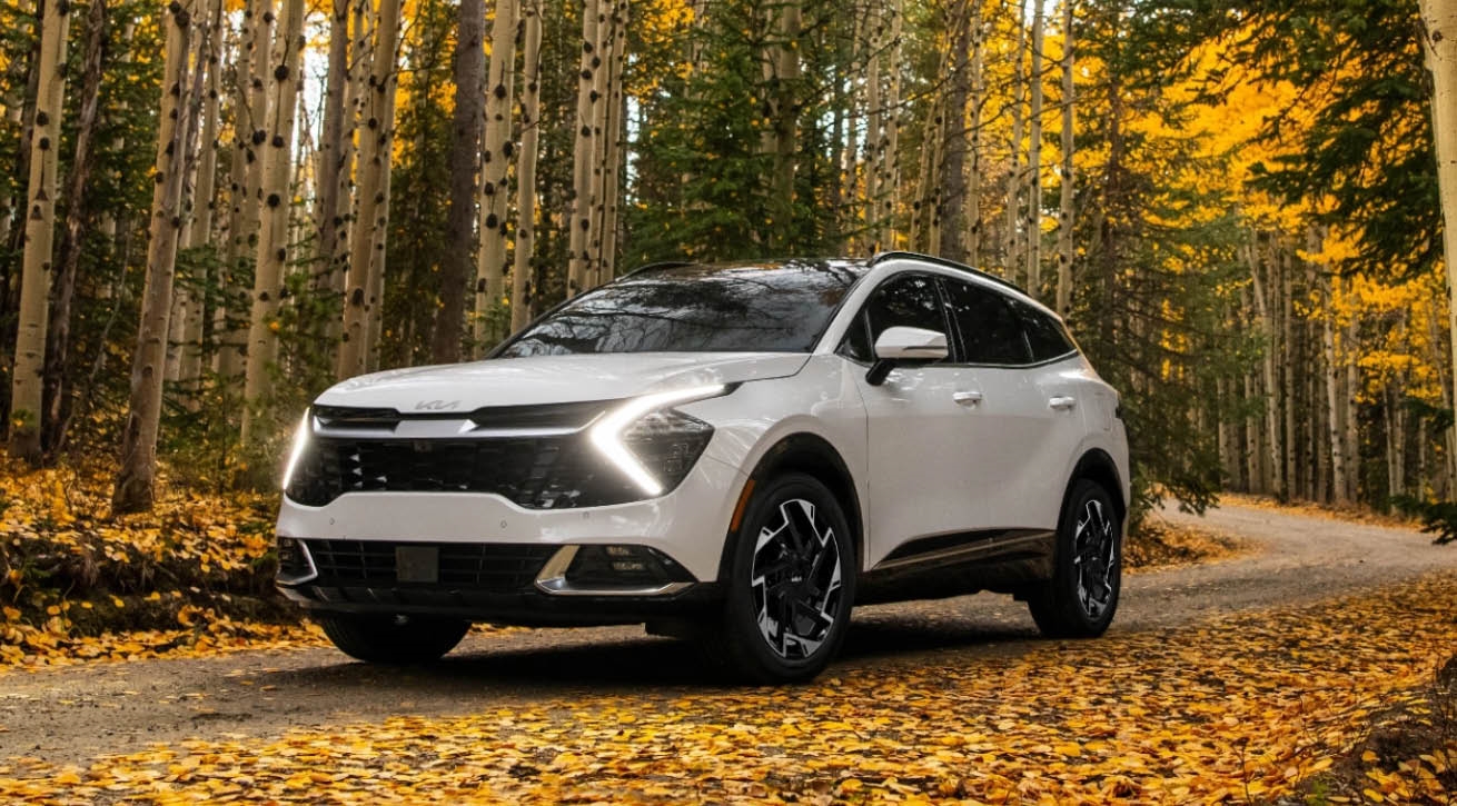 New & Used Car Dealership near San Diego