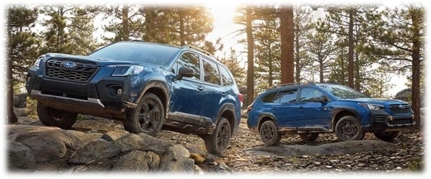 Embrace Adventure with Subaru Wilderness Edition Models