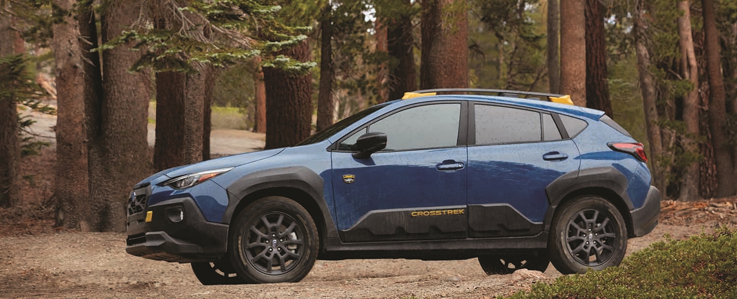 Subaru of Gwinnett Duluth GA