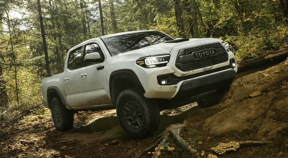 A white 2021 Toyota Tacoma is shown off-road after visiting a used Toyota dealer near Ashland, VA.