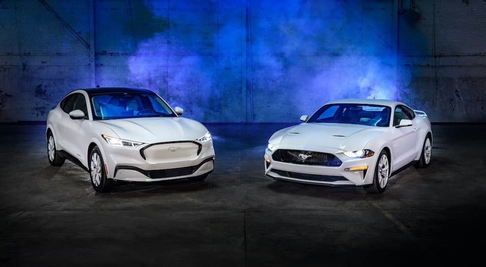 A white 2022 Ford Mustang GT and a Mach-E Ice White Edition are shown angled toward each other in a warehouse.