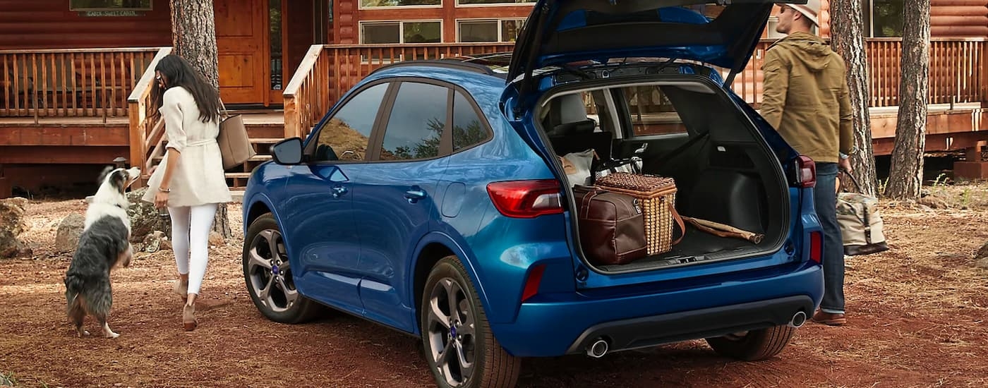 A blue 2023 Ford Escape ST-Line is shown from the rear near a cabin after leaving a Hudson Ford dealer.